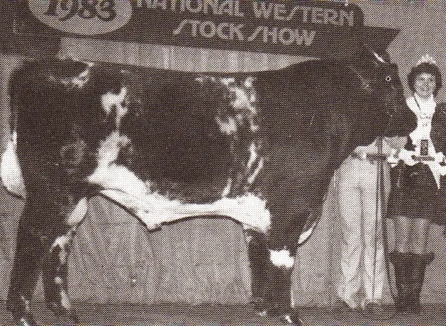 Classic Bulls, J to Z — Heritage Shorthorn Society